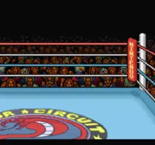 Image n° 4 - screenshots  : Super Punch-Out!!